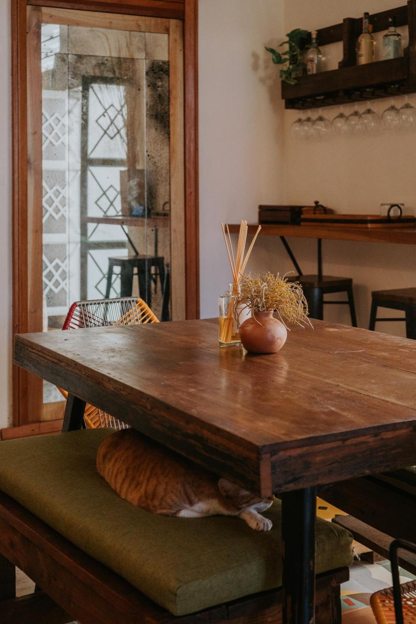 מרידה Casa Mezcla - Bed & Breakfast מראה חיצוני תמונה